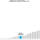 ㈜신영대농개발 | 신영그룹 평택 화양지구 사업 시험대 "장남에게 집중된 재무 리스크"