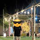 궁금했던 무수아취 다녀온 후기