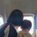 제주 남원농업협동조합신흥지점 | 8개월 아기랑 급 제주도 태교(?) 아닌 육아 여행! 분유, 이유식, 짐 싸기 꿀팁 총정리 ✈️