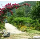 녹수와 청산의 집 이미지