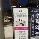 위더스 인셀덤