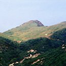 화왕산군립공원 Daum카페
