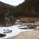 평창 운교리 밤나무 이미지