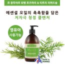 더블유씨엘 | 2024년 9월 잡지 부록 정보_2024.08.17 재업