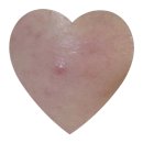 에스엔티 이미지