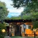 구봉농원 | 춘천 여행 구봉농원 솥뚜껑닭볶음탕 후기 미친(positive)맛