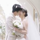 서로미디어 | 더링크서울 1인 2캠 무료 본식DVD 움스미디어 계약 후기