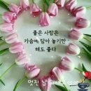 하루하루 이미지