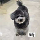 포동 - 종로구 새문안로5길 19 | 포동