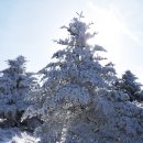 ◆겨우체면세운-지리산 신선둘레길,바래봉 이미지