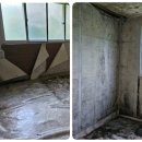 여주-0879 이미지