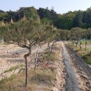 산척면사무소 이미지