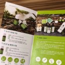 천명상조