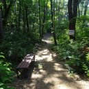 치악산둘레길 5코스 서마니강변길 이미지