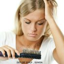 수원-2060 이미지