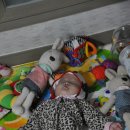 소율농장 이미지