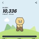 사진의 반이 야구가 되어버린 4월의 일상