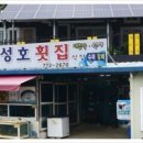 성호횟집 네이버블로그