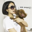 미오비아