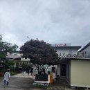 제주은희네해장국 구리점 | 제주은희네해장국 구리점 내돈내산 식사 후기