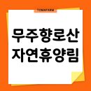 여운자동차정비 | 무주향로산자연휴양림 후기 숲나들e 예약방법 가격 이용꿀팁 총정리