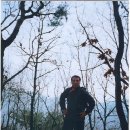 개나리공원3 이미지