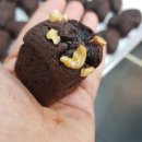 제이브라우니 이미지