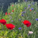 김녕안트레 이미지