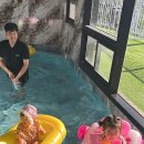 동그라미 키즈 풀빌라 이미지