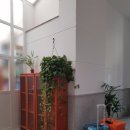 카플라자 이미지