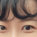 비터브로우
