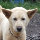 부영농장 이미지