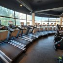 나우핏 휘트니스 이미지