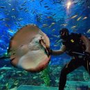 01-90 동구 이미지