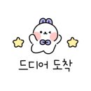 스윔비젼