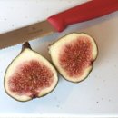 다시와요민박 이미지