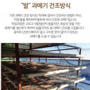 영덕종합약국 | 포항 죽도시장 볼거리 먹거리 구경