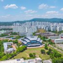 씨에스아이 뉴시스