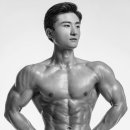 바디로그피티