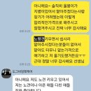 도그비잉펫케어 이미지