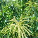 이재홍내과의원 이미지