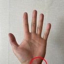 이천 팀케이 복싱 크로스핏 이미지