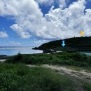 수영가든 이미지