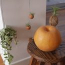 덕천농장 이미지