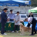 부마클럽 이미지