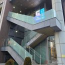 코비한의원 | 영등포 / 홍대 비염 치료, '코비한의원 마포' 비염배농치료 후기