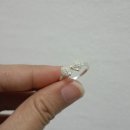 디자인랩 공존