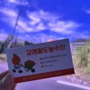 교래팔도농수산 이미지