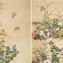 한붓꽃그림 이미지