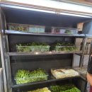 (유)익산팔봉장례식장 | 익산 덕기동 황금밥상 쌈밥이 맛있는집 내돈내산/가격표/가게위치/솔직후기